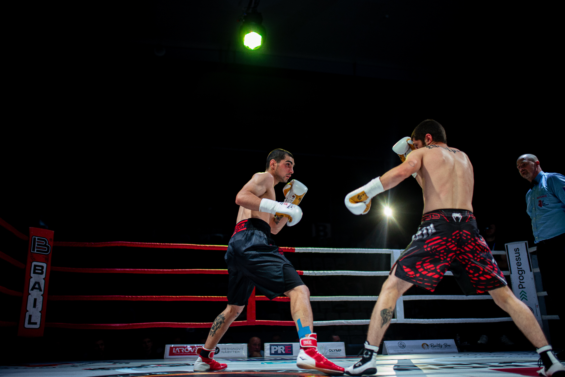 Goga Mamulashvili professional boxing photo 3