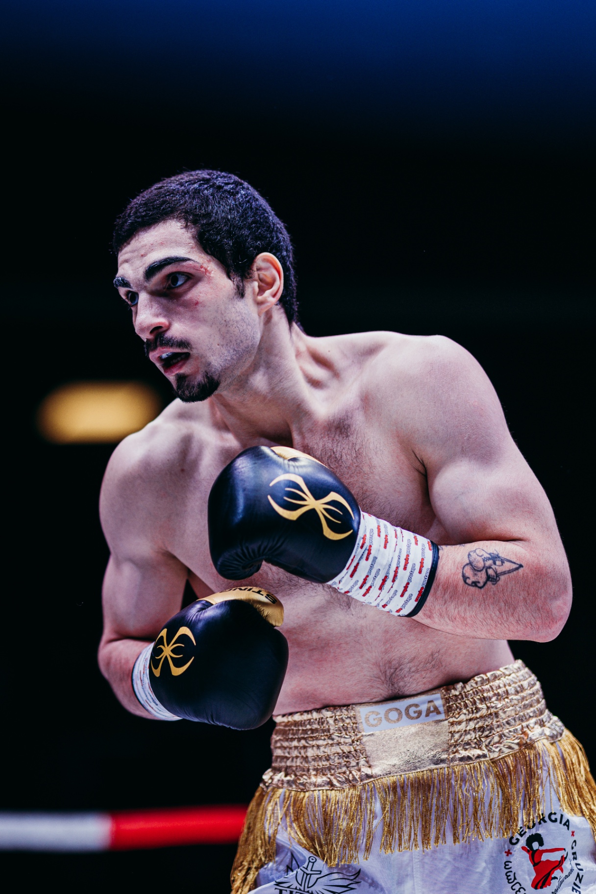 Goga Mamulashvili professional boxing photo 8