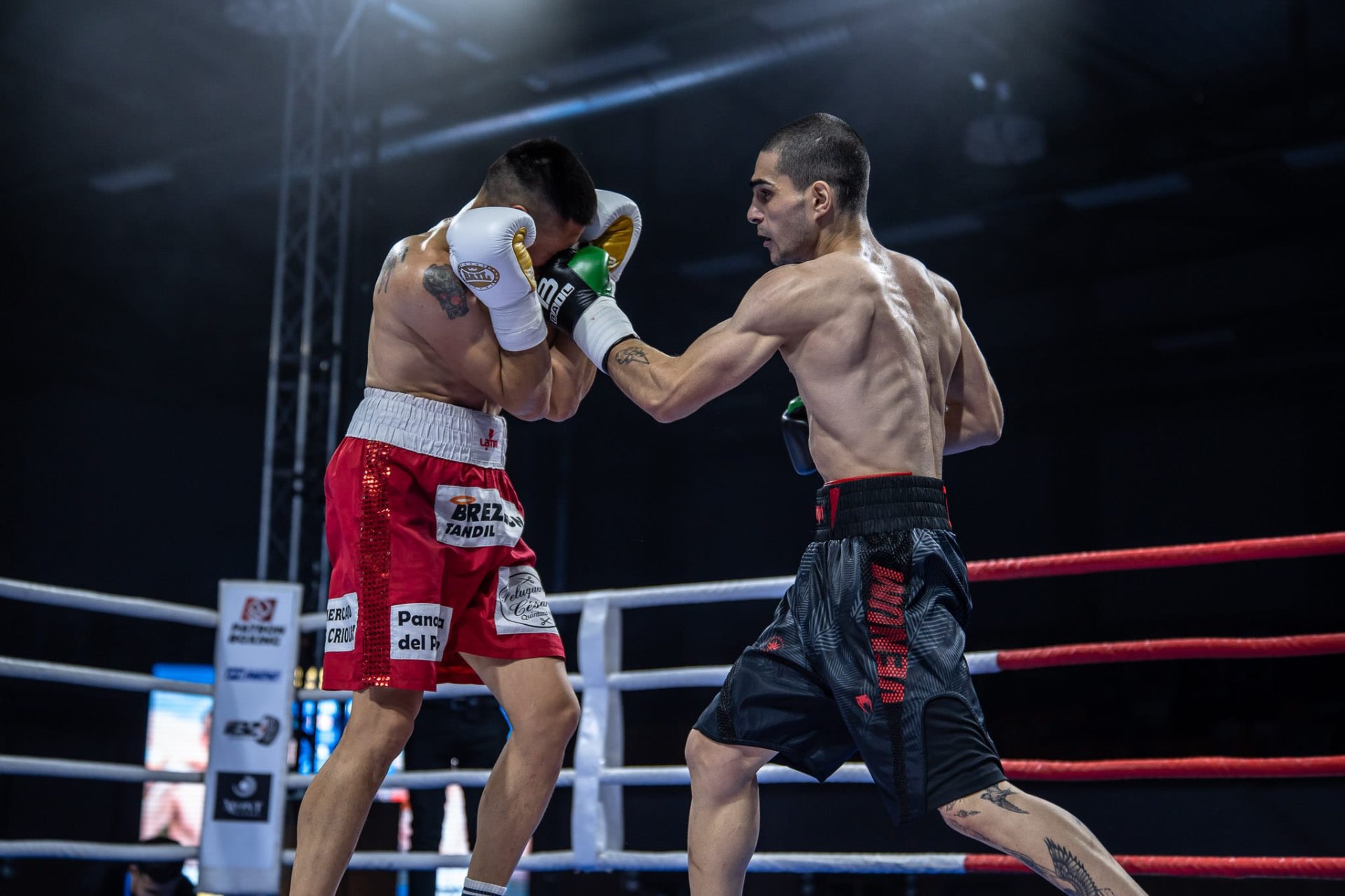 Goga Mamulashvili professional boxing photo 9